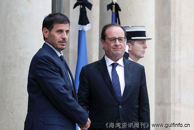 法国总统会见卡塔尔代表团
