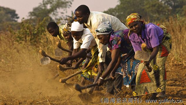 撒哈拉以南非洲需提高农业生产率