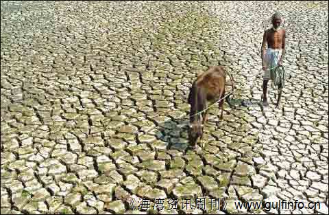 印度遭遇数十年来最严重干旱 蔗<font color=#ff0000>糖</font>产量或创七年新低
