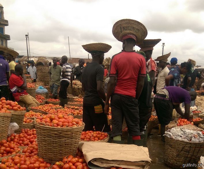 西红柿对于尼日利亚无比重要，你知道为什么吗？