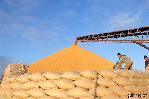 南非大豆进口预测值调高至30万吨，非洲大豆分离蛋白前景广阔！