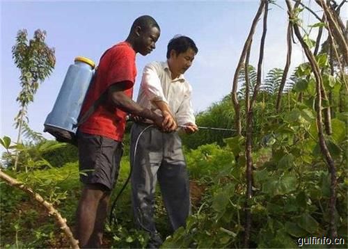 非洲成为中国农药出口的重要市场，出口量稳步提升！