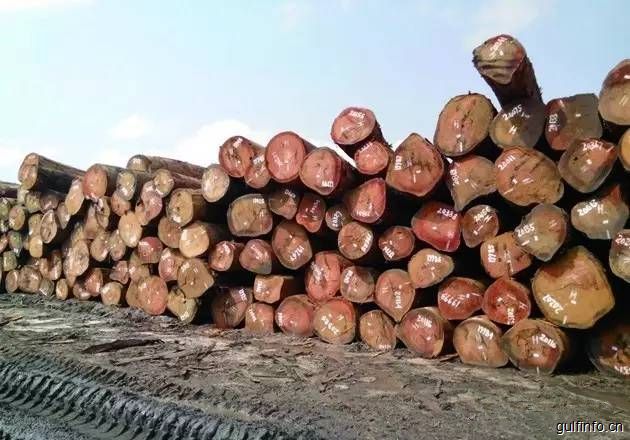 非洲多国颁布木材禁令 木材进口减少