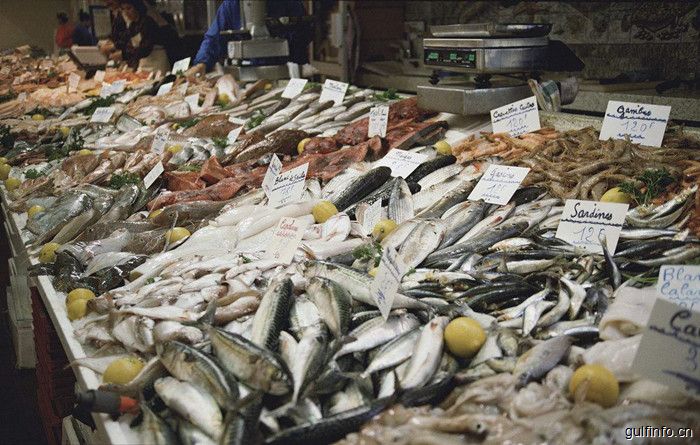 加纳国内消费的鱼类60%靠进口