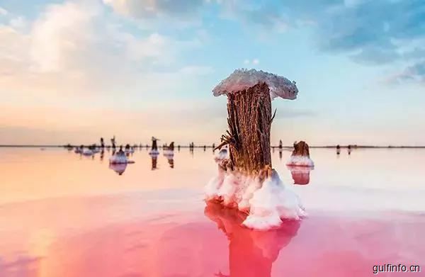 塞内加尔粉红玫瑰湖满满“少女心”